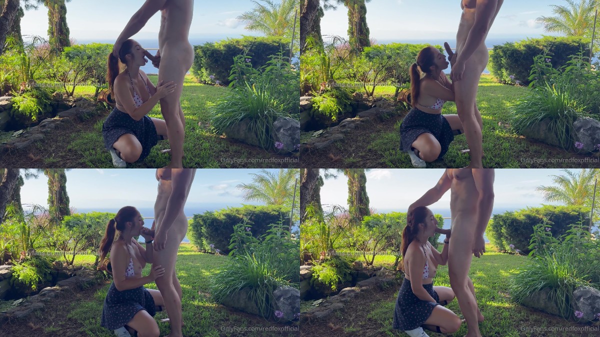 Red Fox – First Facial